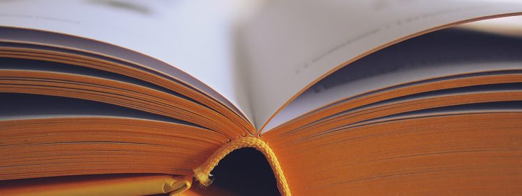 Tips To Help You Blog Your Way To Success